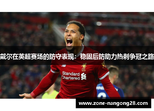 戴尔在英超赛场的防守表现：稳固后防助力热刺争冠之路