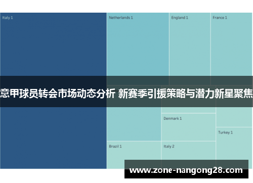 意甲球员转会市场动态分析 新赛季引援策略与潜力新星聚焦