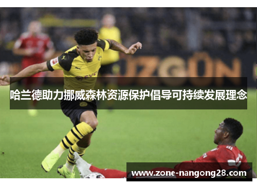 哈兰德助力挪威森林资源保护倡导可持续发展理念