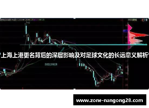 上海上港更名背后的深层影响及对足球文化的长远意义解析